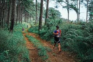 BIB: 
                            <button type="button" onclick="openModal(25687904)" class="btn btn-primary btn-sm float-right btn-popup" data-toggle="modal" data-target=".modal-high-quality">
                        <i class="fas fa-shopping-cart"></i> Add to Cart
                    </button>
                                            <button type="button" onclick="isThisMe(25687904, true)" class="btn btn-success btn-sm float-right btn-popup btn-isme hidden" data-toggle="tooltip" data-placement="bottom" title="นี่คือรูปของคุณใช่ไหม คลิกที่นี่เพื่อเอาเข้าอัลบั้ม">
                        <i class="fas fa-plus"></i> Add to album
                    </button>
                    <button type="button" onclick="isThisMe(25687904, false)" class="btn btn-warning btn-sm float-right btn-popup btn-isnotme hidden">
                        <i class="fas fa-ban"></i> Remove from album
                    </button>